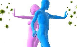 Почему падает иммунитет и как его повысить в домашних условиях? Почему падает иммунитет и как его повысить в домашних условиях?