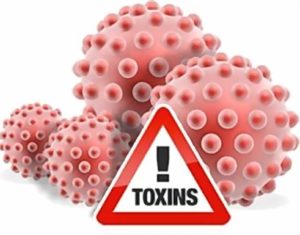 Что такое токсины и почему от них нужно избавляться