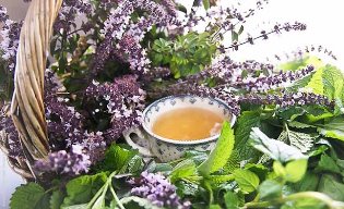 Травяные чаи и ванны для спокойного сна: какие ингредиенты выбрать Травяные чаи и ванны для спокойного сна: какие ингредиенты выбрать