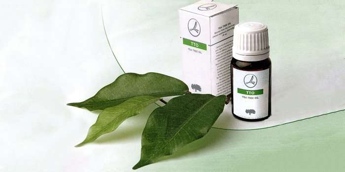 Как использовать эфирное масло чайного дерева от прыщей эфирное масло чайного дерева от прыщей