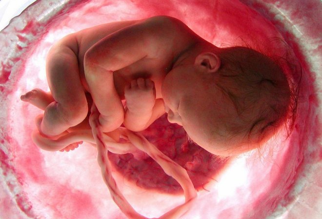 Виды сыпи у детей на коже лица, тела, попе и ногах: красные точки и прыщики гипоксия у плода во время беременности