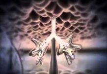 Прыщи перед месячными: почему они появляются на подбородке и лице