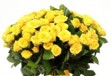 Доставка цветов по России – особенности и преимущества услуги Доставка цветов по России – особенности и преимущества услуги