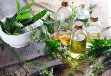 Что такое фитотерапия Что такое фитотерапия