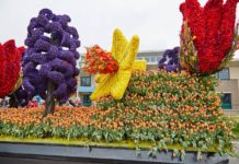 Мазь и таблетки Ацикловир – подробная инструкция по применению, отзывы Цветочные традиции