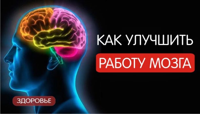 Как улучшить память и работу мозга? Как улучшить память и работу мозга?