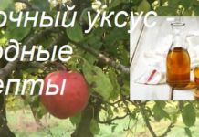 Яблочный уксус применение в народной медицине ✦ 33 секрета ✦
