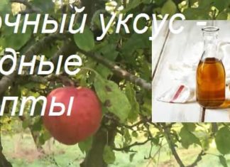 Яблочный уксус применение в народной медицине ✦ 33 секрета ✦