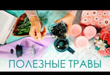 Какие травы для лица помогут от избавиться от прыщей и жирной кожи