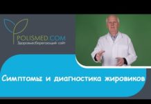 Что такое липома и почему на теле человека возникают новообразования