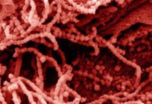 Сыпь на лице у женщин: причины и лечение