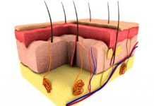 Пупырышки на члене: причины, как лечить?