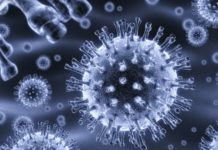 Сыпь при мононуклеозе у детей и взрослых: особенности и лечение