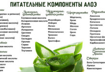 Лосьон из алоэ в домашних условиях – рецепты приготовления тоника для лица, плюсы и минусы