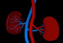 Липома почки: причины и симптомы, диагностика и методы лечения