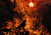 Пожары в Сибири важнее чата Леди Гаги: подпиши петицию!