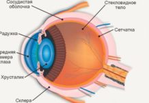 Откуда берутся мушки перед глазами и когда это опасно — Лайфхакер
