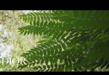 Смотри прямую трансляцию показа Dior здесь!