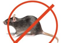Способы избавления от грызунов