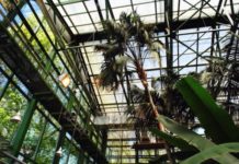 Где делать модные фотографии в Instagram?