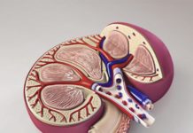 Рак почки – это не приговор Рак почки – это не приговор