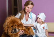 Вызов ветеринара на дом Вызов ветеринара на дом