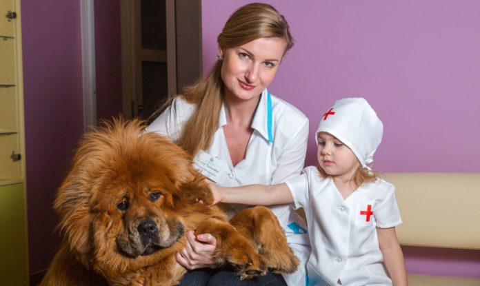 Вызов ветеринара на дом Вызов ветеринара на дом