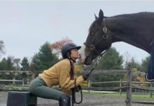 В стиле Беллы Хадид: где купить джемпер на молнии