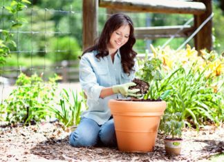 Субстраты: как выбрать самый подходящий