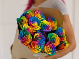 Как создаются необычные розы