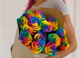 Как создаются необычные розы