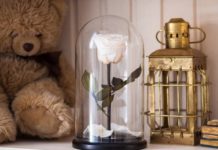 Как ухаживать за розой в колбе