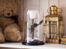 Как ухаживать за розой в колбе