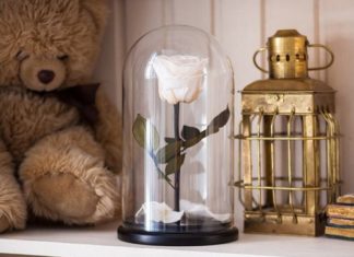 Как ухаживать за розой в колбе