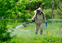 Уничтожение клещей на участке