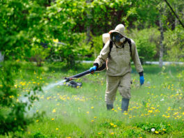 Уничтожение клещей на участке