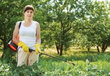 Уничтожение сорняков: самые эффективные способы