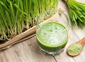 Ростки ячменя: польза и вред, применение