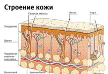 Акне — причины, симптомы, лечение — МЦ РОШ