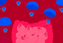 Микробиота после антибиотиков: как восстановить здоровье кишечника