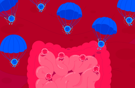 Микробиота после антибиотиков: как восстановить здоровье кишечника