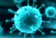 Герпесный; десант; на лице: как замаскировать простуду