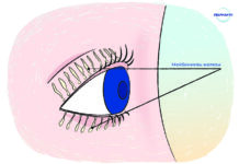 Лечебный массаж век: как делать в домашних условиях? | Дельфанто®