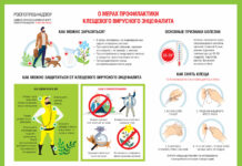 О рекомендациях, куда обращаться в случае присасывания клещей