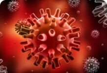 Лечение генитального герпеса — Медицинский портал EUROLAB