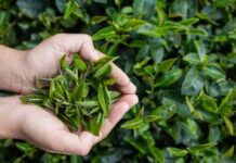 Внутренний ячмень прорвался чем обработать. Что нужно сделать, чтобы ячмень скорее прорвался — Семейная клиника ОПОРА г. Екатеринбург