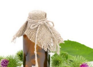 Корень лопуха от псориаза — рецепты приготовления и отзывы