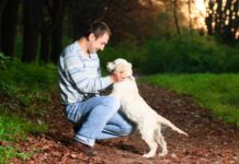 Экзема у собаки: причины, симптомы, лечение и профилактика | Блог ветклиники; Беланта.