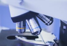 Значение анализов на антитела IgG, IgM в диагностике инфекций | Медицинская лаборатория «Аналитика» в Махачкале