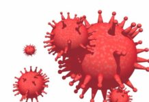 1 тип; Витагерпавак